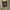 FUCT Streetwear Y2K Pria khaki cream photo 5