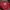 Adidas Casual Harrington jacket Pria red photo 1