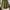 Alpha Industries Vintage Parka Pria green photo 2