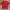 Champion Minimalist T-shirt Pria white red photo 1