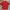 Champion Minimalist T-shirt Pria White Red