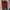 Balenciaga Skater Hoody Pria red photo 2