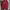 Balenciaga Skater Hoody Pria red photo 1