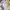 Another Shop Cosplay Suit Pria white yellow photo 1