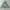 have a good time Streetwear Hoody Pria gray photo 1