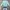 Levi's Casual Sweatshirt Pria green photo 5