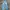 Vintage Grunge Jeans Pria white blue photo 3