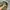 Gorpcore Casual Tracksuit Pria green photo 6