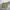 Gorpcore Casual Tracksuit Pria green photo 2