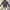 Abercrombie & Fitch Casual Sweatshirt Pria navy photo 5