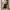 Japanese brand Vintage Y2K Skirt Wanita brown photo 7