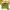 Vintage Cardigan Wanita green yellow photo 2