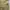 Casual Formal pants Pria cream photo 2