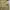 Casual Formal Pants Pria Cream