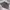 Minimalist Casual Short Wanita gray photo 1