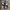 Converse Casual Casual shoe Pria gray photo 5