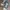 Converse Casual Casual shoe Pria gray photo 4