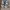 Converse Casual Casual shoe Pria gray photo 6