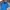 Millet Gorpcore Polo shirt Pria blue photo 2
