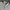 H&M Minimalist Polo shirt Pria white black photo 3