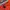Elstinko Streetwear Track jacket Pria orange photo 6