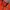 Elstinko Streetwear Track jacket Pria orange photo 4