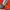 Elstinko Streetwear Track jacket Pria orange photo 7