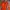 Elstinko Streetwear Track jacket Pria orange photo 3