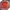 Elstinko Streetwear Track jacket Pria orange photo 1