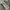 VANS Streetwear Skater Hoody Pria gray photo 8