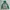 Quiksilver Y2K Skater Hoody Pria Green Gray