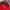 Kappa Sportswear Track jacket Pria red black photo 2