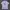 Noah Streetwear Skater T-shirt Pria pink photo 1