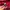 Russell Athletic Y2K Sportswear Windbreaker Pria burgundy black photo 2