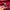 Russell Athletic Y2K Sportswear Windbreaker Pria Burgundy Black