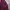 Ed Hardy Vintage Grunge Hoody Wanita burgundy photo 2