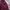 Ed Hardy Vintage Grunge Hoody Wanita Burgundy
