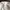 Sportswear Casual Windbreaker Pria white photo 4