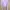 H&M Minimalist Crop top Wanita pink photo 2