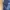 Champion Sportswear Tracksuit Pria navy photo 2