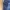 Champion Sportswear Tracksuit Pria Navy