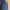Champion Sportswear Tracksuit Pria navy photo 3