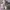 Minimalist Flat Wanita white photo 1
