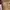 Minimalist Flat Wanita white photo 5