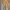 Luxury Maxi dress Wanita gold yellow photo 1