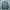 Casual Harrington jacket Pria gray photo 3