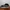 VANS Casual Casual shoe Pria black photo 1