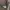 Starter Sportswear Casual Sweater Pria brown photo 4