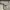 Levi's Streetwear Casual pants Pria white photo 6