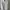 Stussy Streetwear Formal shirt Pria white photo 1